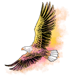 Freedom Lemonade Combo - Eagle