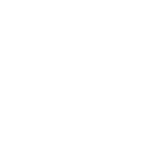 Secondary Logo - Square (Single Color - Reverse)