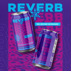 Reverb Splash Concord Grape Blueberry Social #2