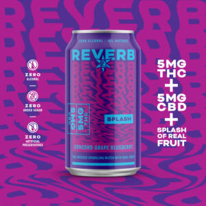 Reverb Splash Concord Grape Blueberry Social #3